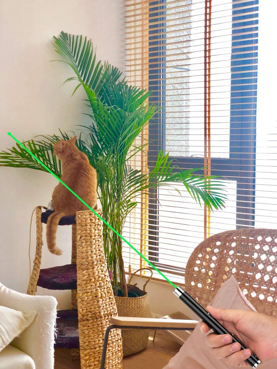 3 Packs 1000 Meters  Laser Pointer Pen Green Blue Red Light Visible Beam